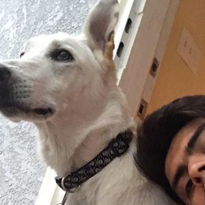 Meet your Posher, Derek